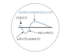 Alternanza lavoro e riposo muscolare. Schermata-2020-01-22-alle-11.18.34