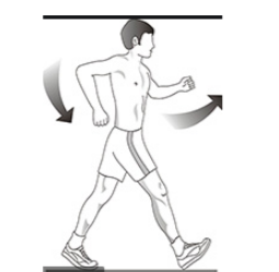 Posture corrette per camminata e corsa. Schermata-2020-06-23-alle-12.27.32